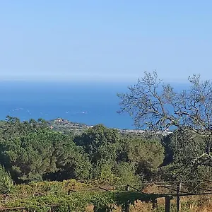 https://can-bruguera.catalonia-hotels.com